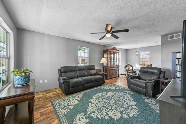 living room with hardwood / wood-style flooring, a textured ceiling, and a wealth of natural light