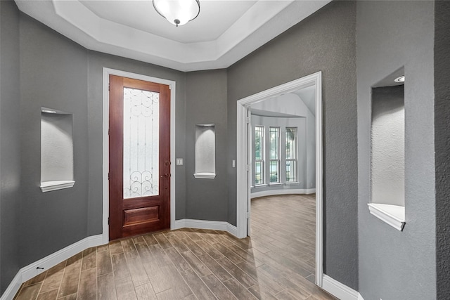 entryway featuring a raised ceiling and wood-type flooring