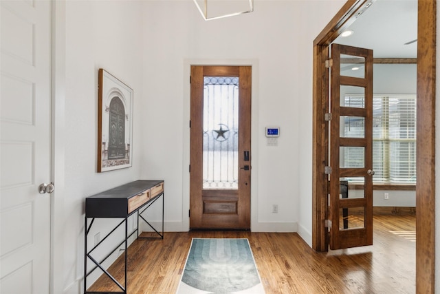 entrance foyer featuring wood-type flooring