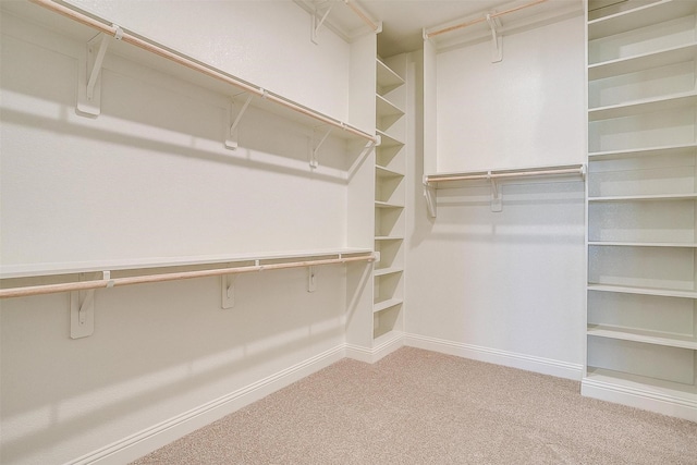 walk in closet with carpet