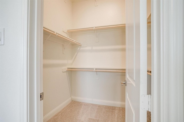 spacious closet with light colored carpet