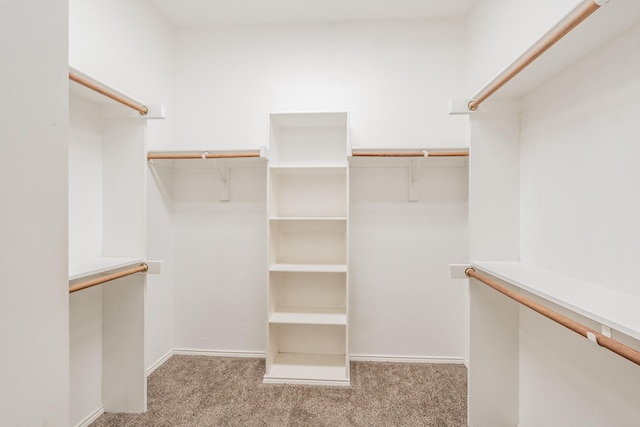 spacious closet featuring light colored carpet