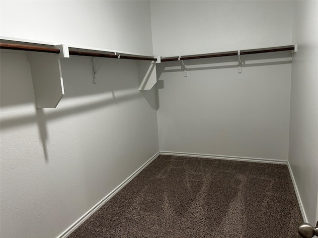 walk in closet featuring carpet flooring