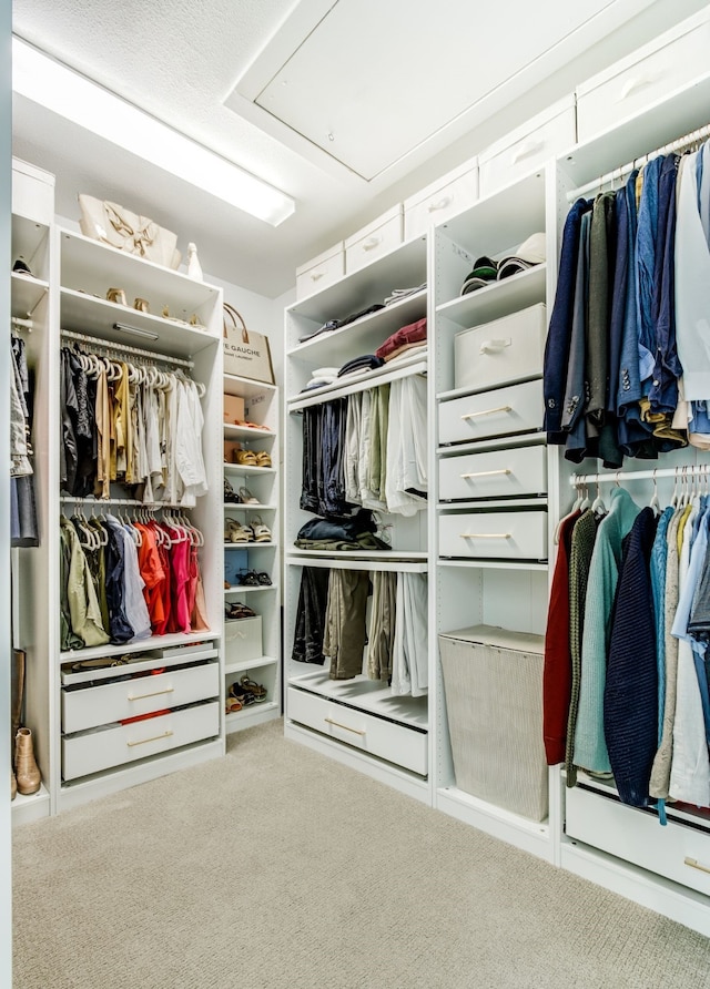 walk in closet with carpet flooring