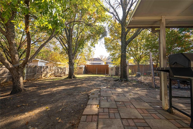 view of patio with a shed