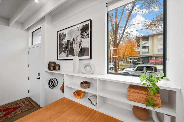 room details with hardwood / wood-style flooring