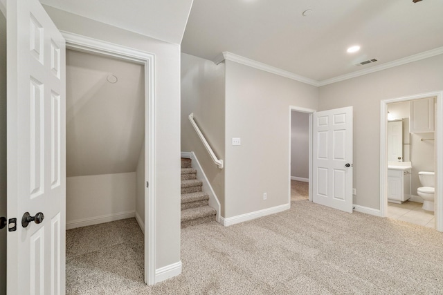 interior space with light colored carpet and crown molding