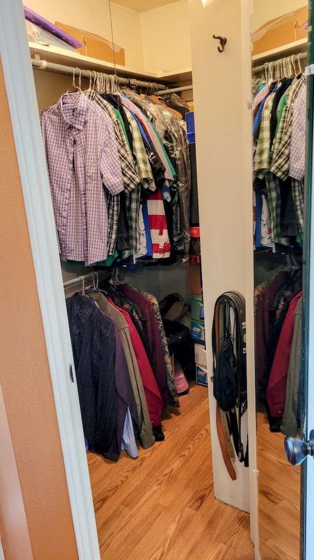 spacious closet with hardwood / wood-style floors