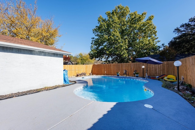 view of pool with a patio