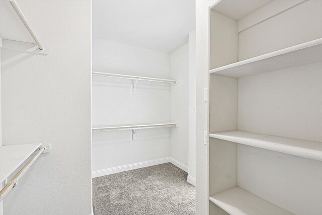 walk in closet with carpet floors