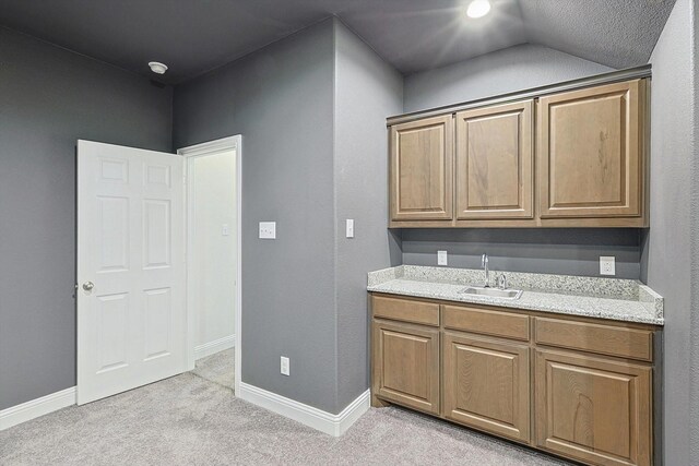 interior space with light colored carpet and a closet