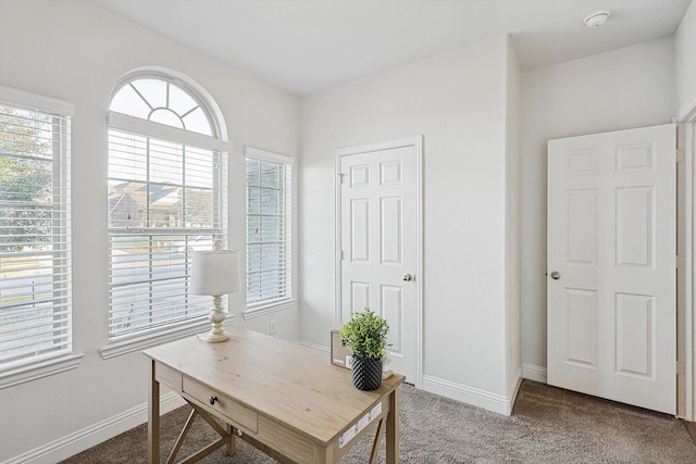 office featuring carpet flooring and baseboards