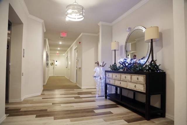 hall with light hardwood / wood-style floors and crown molding