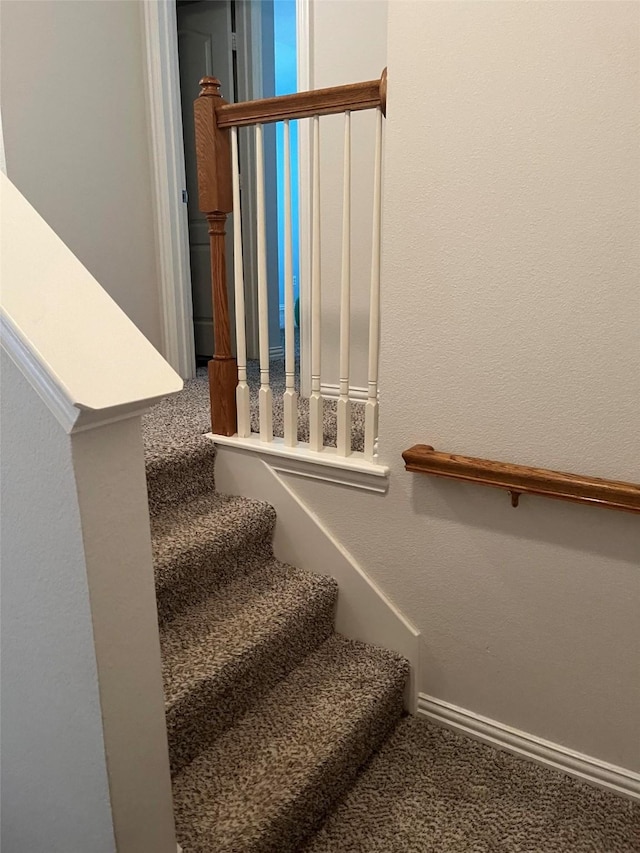 stairway featuring carpet flooring