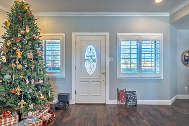 foyer with ornamental molding, dark hardwood / wood-style flooring, and a healthy amount of sunlight