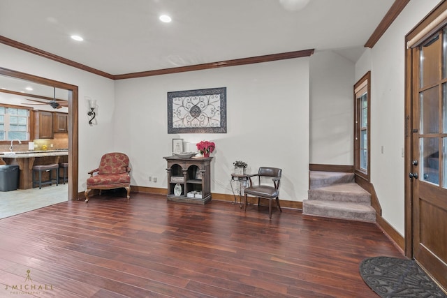 foyer entrance featuring ceiling fan, ornamental molding, dark hardwood / wood-style floors, and sink