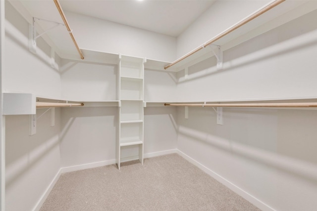 spacious closet featuring carpet