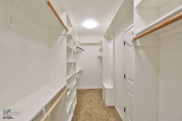 spacious closet with light colored carpet