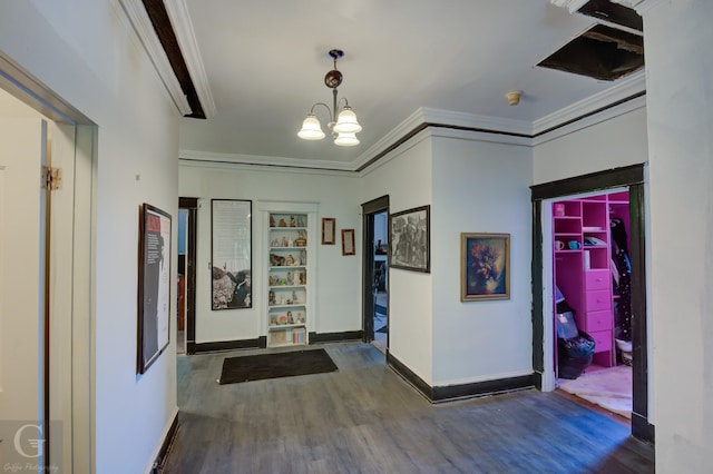 corridor with dark hardwood / wood-style floors, crown molding, and an inviting chandelier