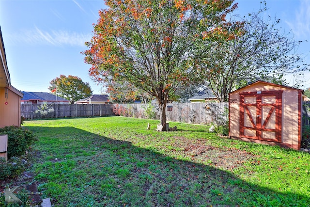 view of yard with a storage unit