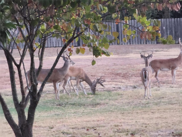 view of surrounding community