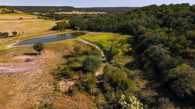 TBD Fm 3027, Mineral Wells TX, 76067 land for sale