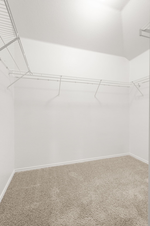 spacious closet with carpet