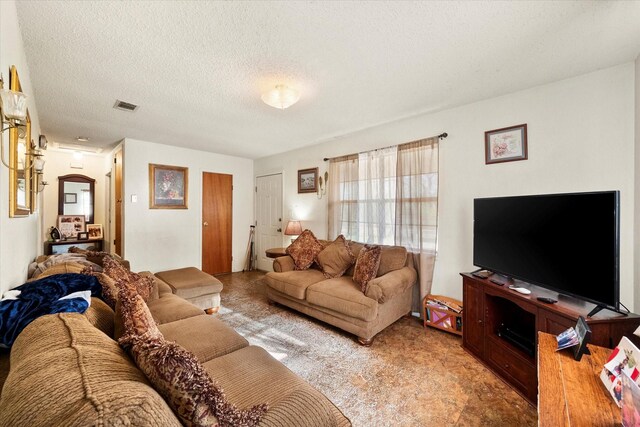 living room featuring a textured ceiling