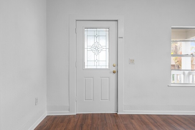 entryway featuring a wealth of natural light and dark hardwood / wood-style flooring