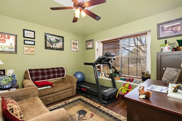 exercise area featuring hardwood / wood-style floors and ceiling fan