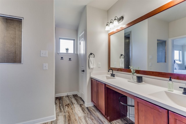 bathroom featuring hardwood / wood-style floors, vanity, and a wealth of natural light