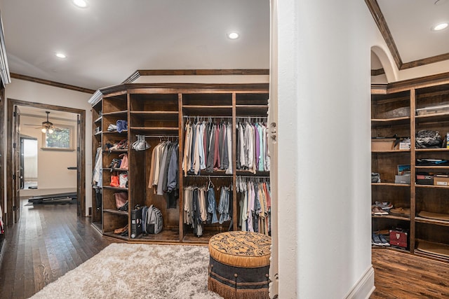 spacious closet featuring ceiling fan and dark hardwood / wood-style flooring