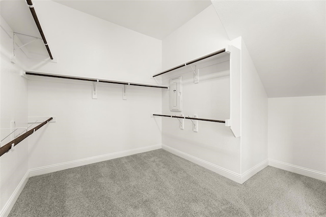 spacious closet featuring carpet, lofted ceiling, and electric panel