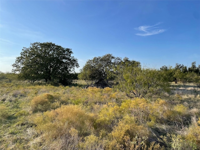 Listing photo 2 for TBD County Road 103, Caddo TX 76429