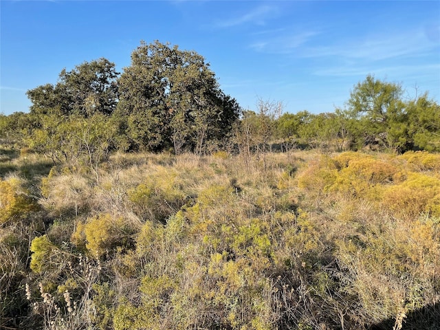 Listing photo 3 for TBD County Road 103, Caddo TX 76429