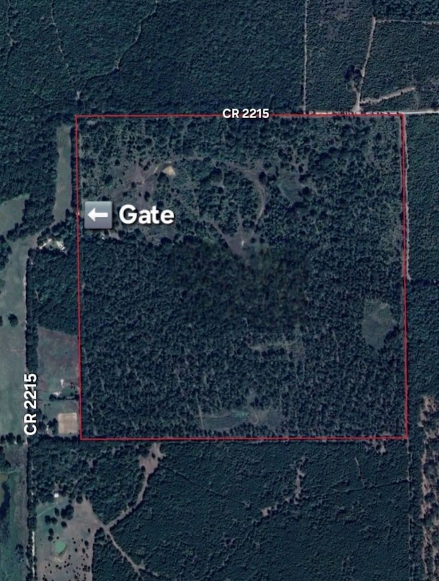 157ACRES County Road 2215, Detroit TX, 75496 land for sale