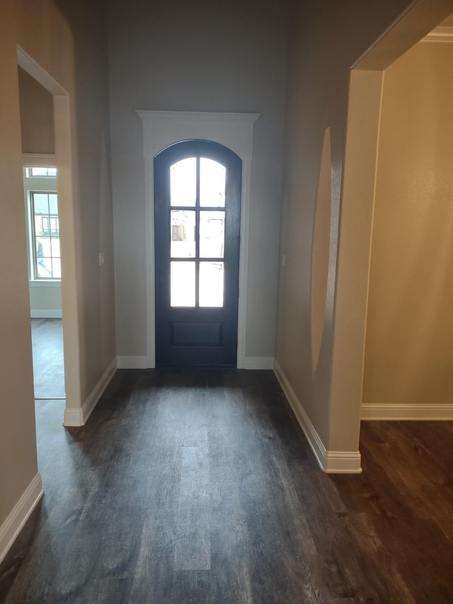 entrance foyer featuring a wealth of natural light and dark hardwood / wood-style flooring