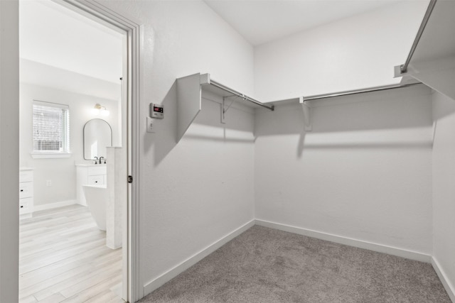 walk in closet with light carpet