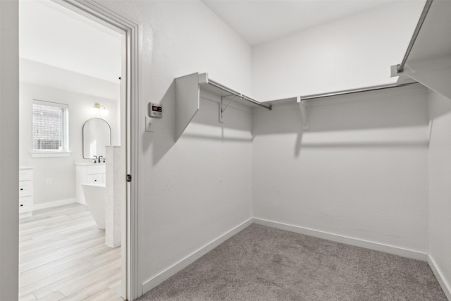 view of walk in closet