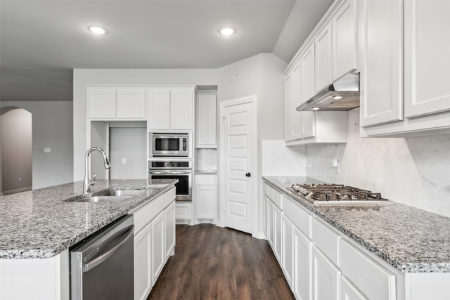 kitchen featuring under cabinet range hood, a sink, dark wood-style floors, stainless steel appliances, and arched walkways