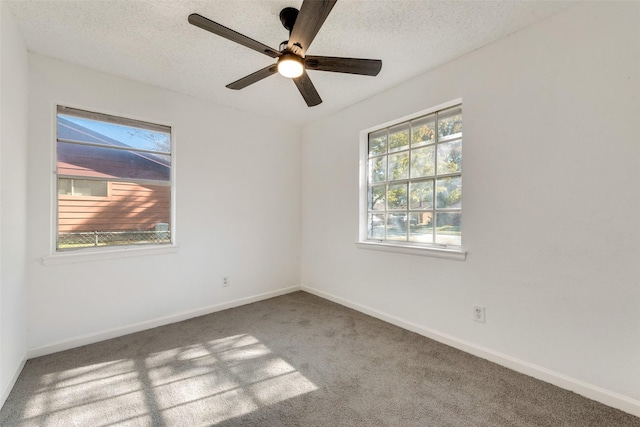 spare room featuring ceiling fan, a healthy amount of sunlight, carpet, and a textured ceiling