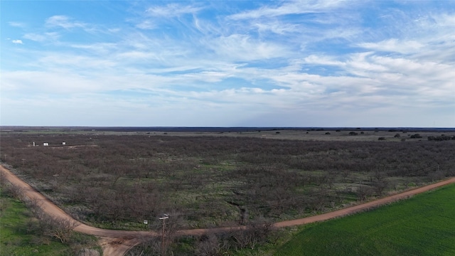 Listing photo 2 for TBD Cr 334, Woodson TX 76491