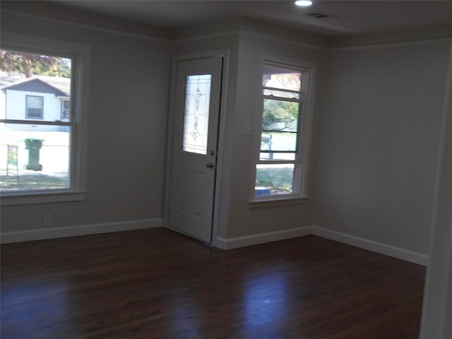 entryway with plenty of natural light and dark hardwood / wood-style flooring