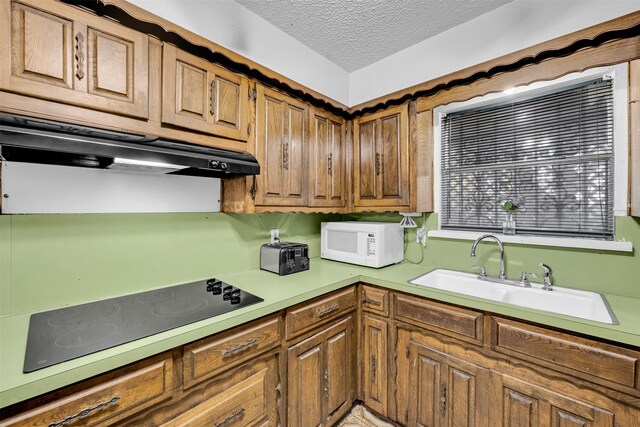 kitchen with black electric cooktop, sink, and a textured ceiling