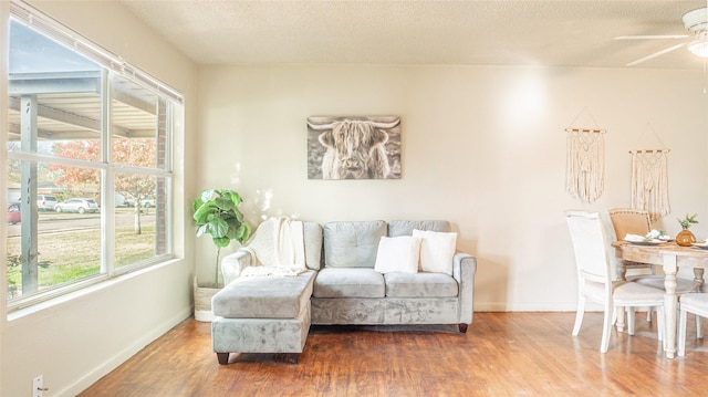 living area with ceiling fan, wood-type flooring, and a textured ceiling