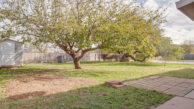 view of yard featuring a shed