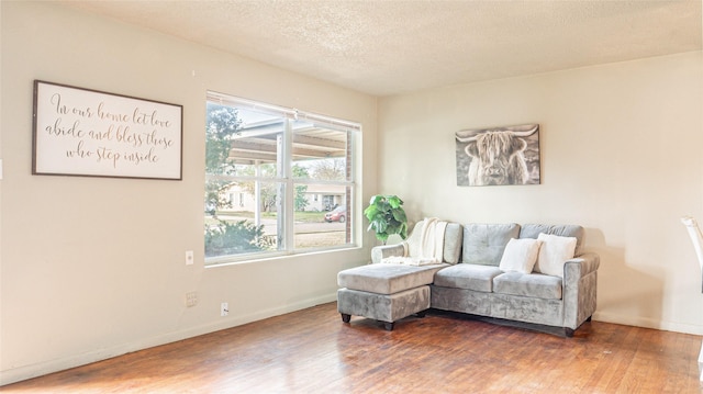 living area featuring dark hardwood / wood-style floors, a healthy amount of sunlight, and a textured ceiling