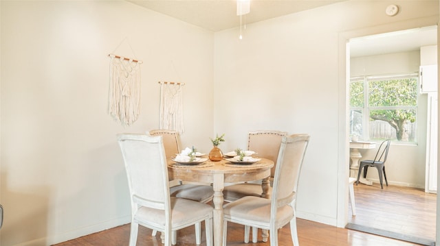 dining room featuring hardwood / wood-style flooring