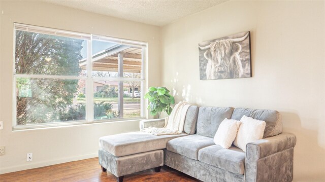 sitting room with wood-type flooring and a textured ceiling