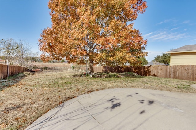 view of yard with a patio